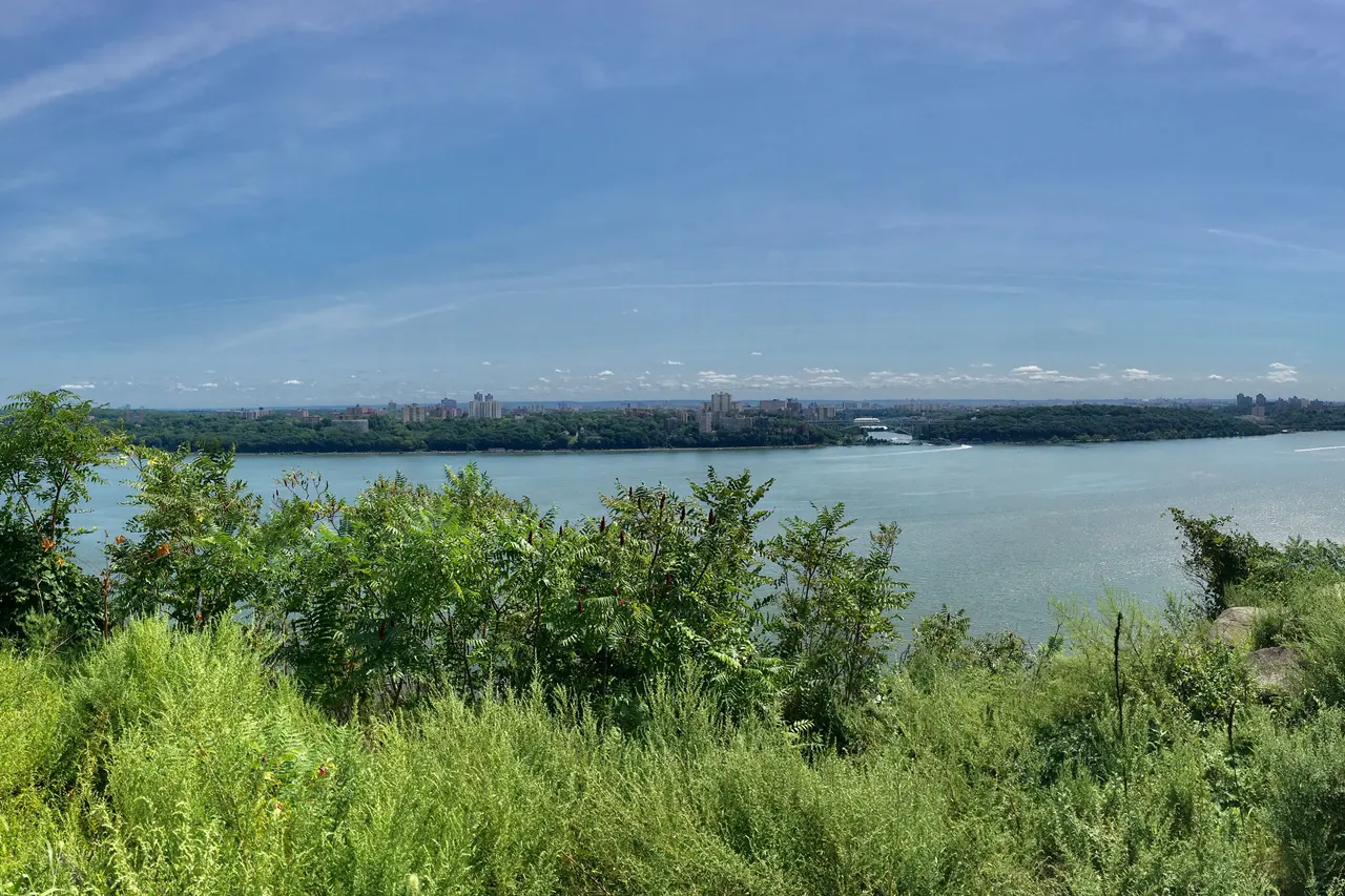 The Hudson River seen from the top of the Palisades cliffs, with green brush in the foreground