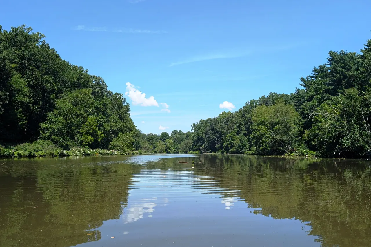 Stewart Lake in Woodbury, calm water between wooded banks on a summer day